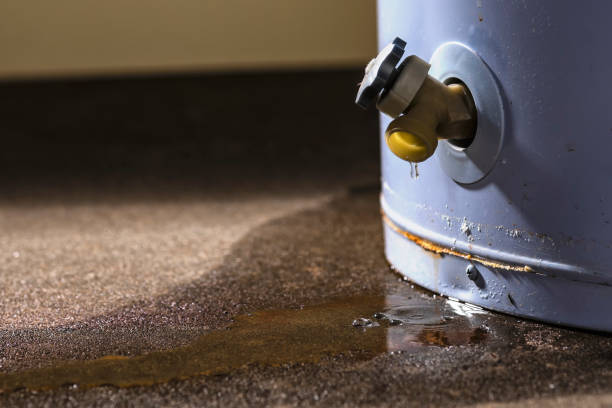 Best Water damage contractors near me  in Black Diamond, WA