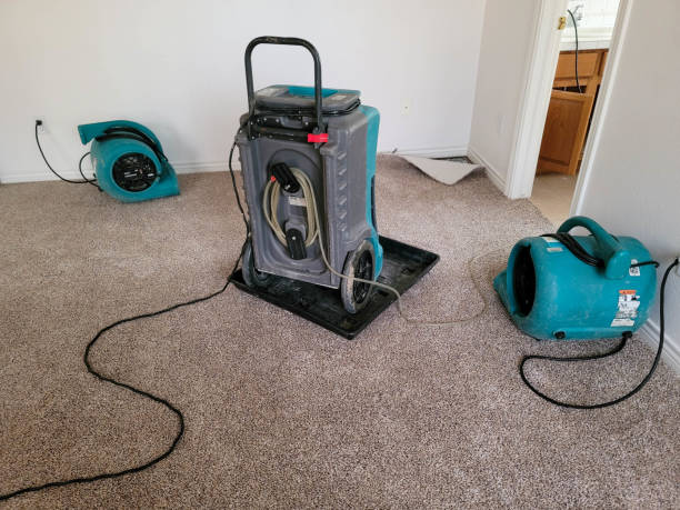 Water damage restoration experts in WA
