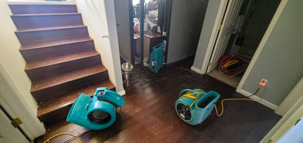 Best Ceiling water damage repair  in Black Diamond, WA