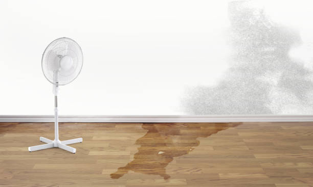 Best Water damage restoration insurance claims  in Black Diamond, WA