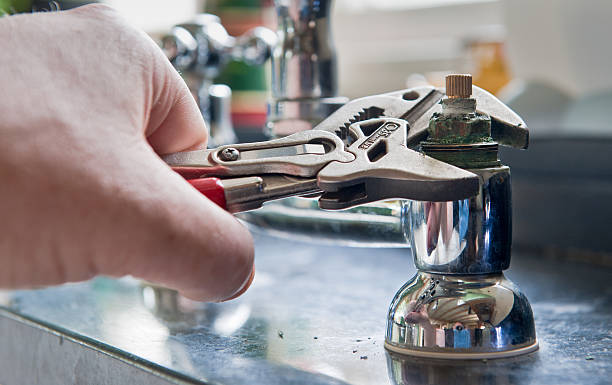 Best Flooded house restoration  in Black Diamond, WA