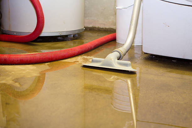 Best Carpet water damage restoration  in Black Diamond, WA