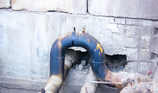 Best Water damage restoration experts  in Black Diamond, WA