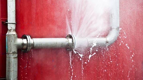 Best Carpet water damage restoration  in Black Diamond, WA